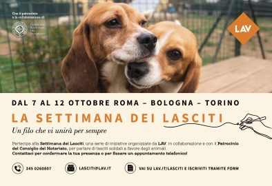 LOCANDINA_800x548_GENERICA