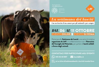 locandina_settimana dei lasciti locandina_settimana dei lasciti